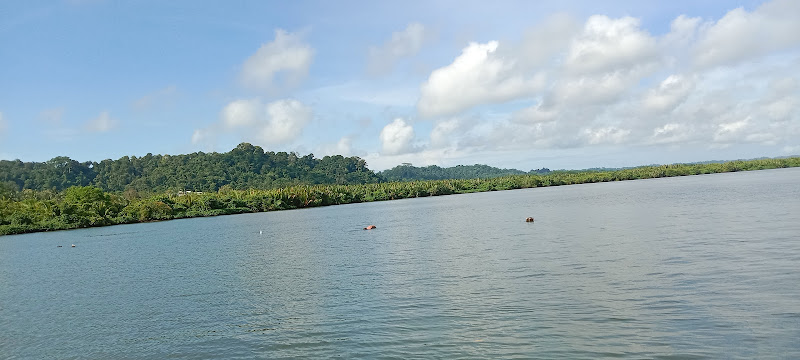 Karangsalam Waters, Kampung Laut, Cilacap Regency, Central Java, Indonesia