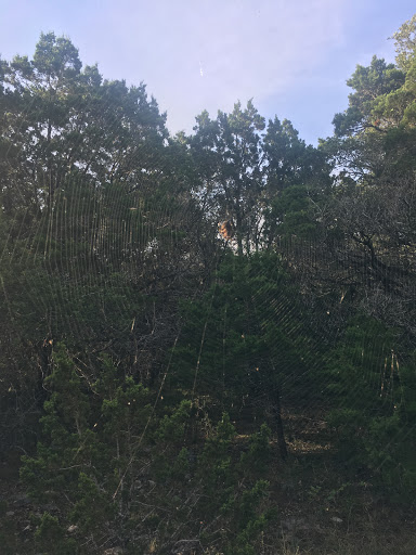 Park «Government Canyon State Natural Area», reviews and photos, 12861 Galm Rd, San Antonio, TX 78254, USA