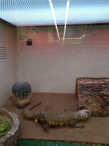 Pet Supply Store «Pet Supplies Plus», reviews and photos, 101 Sutton Ave, Oxford, MA 01540, USA