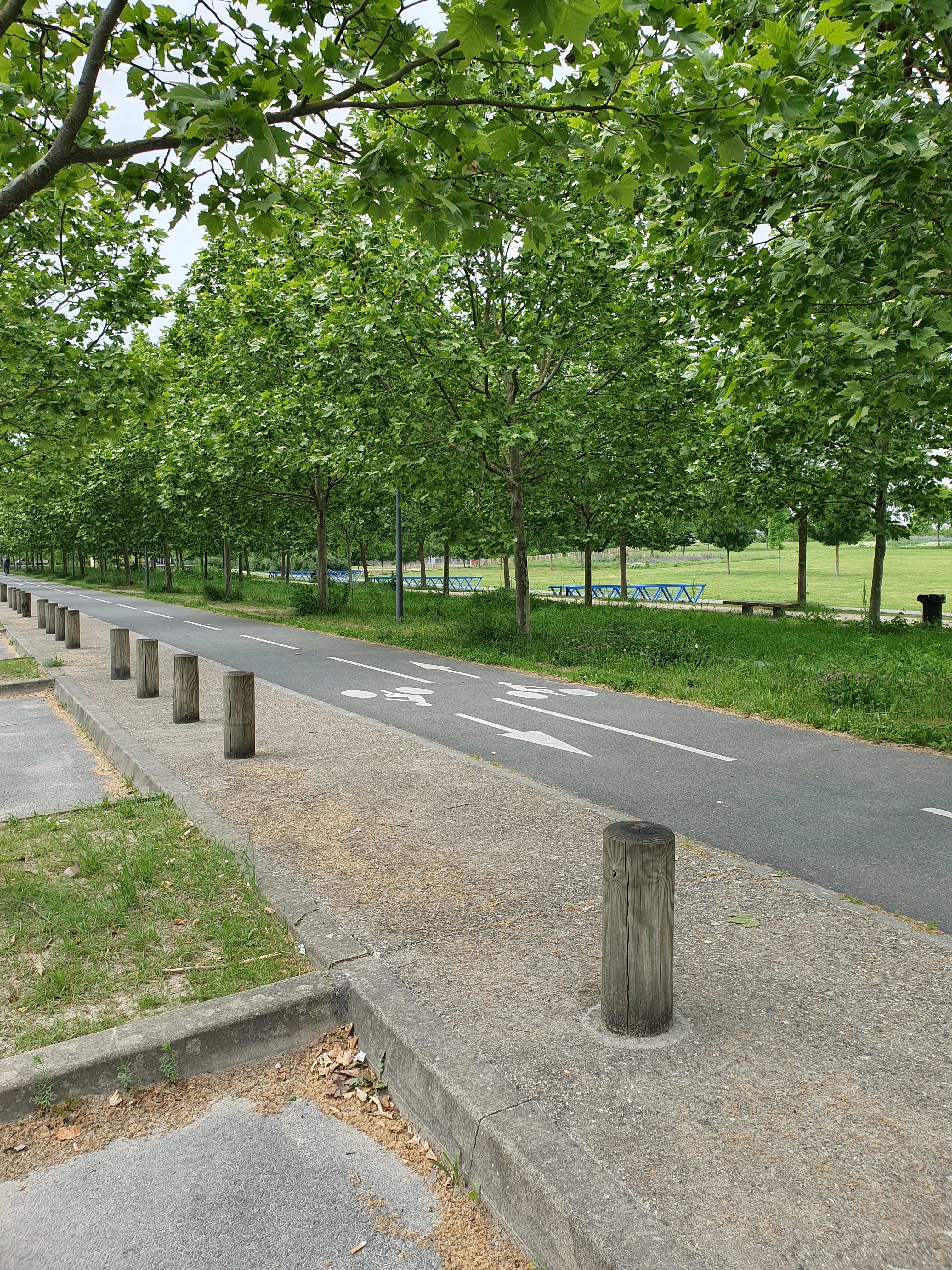 Photo n° 3 de l'avis de elyne.u fait le 21/05/2019 à 16:15