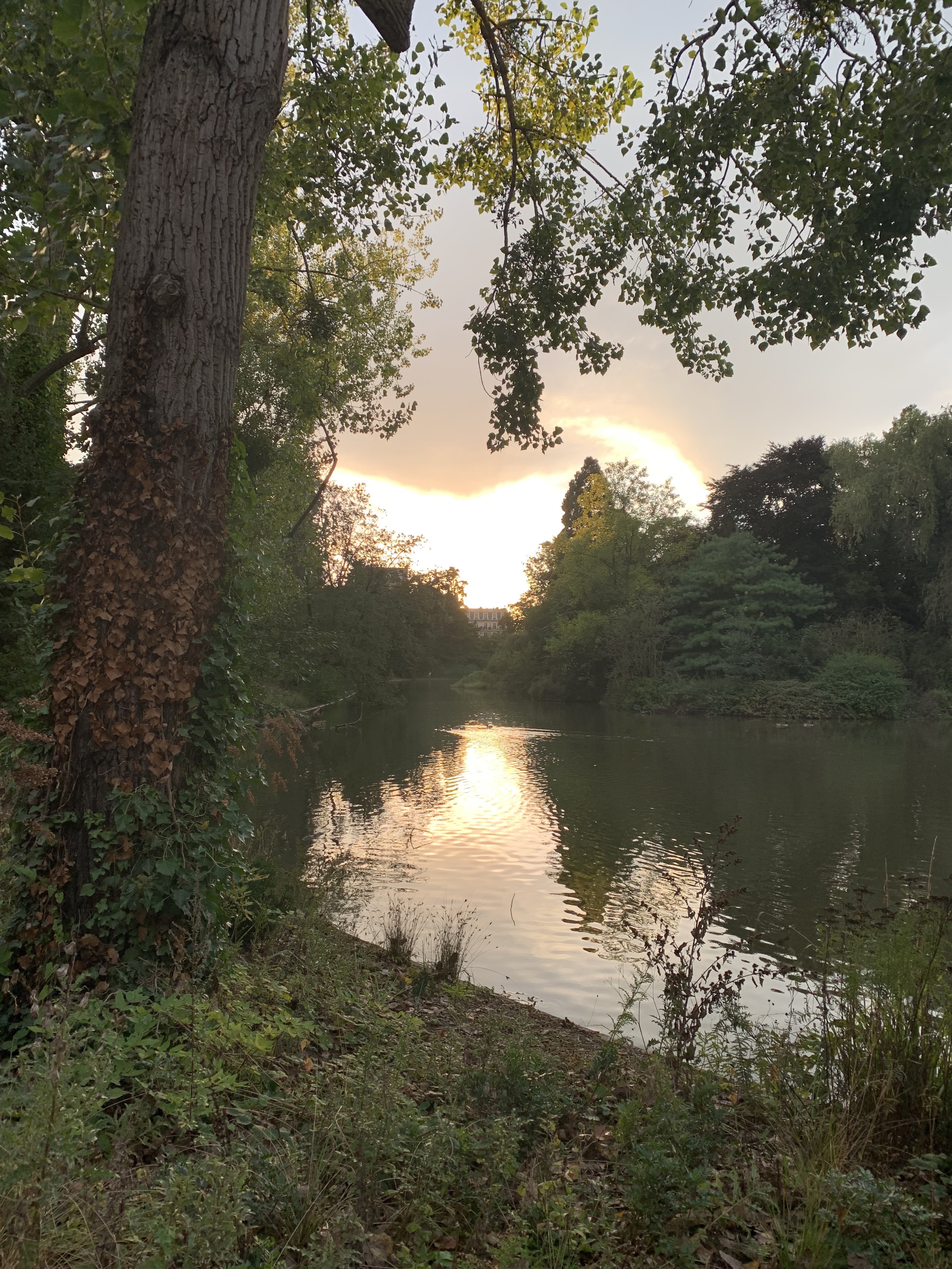 Photo n° 2 de l'avis de Laura.R fait le 08/10/2021 à 19:43