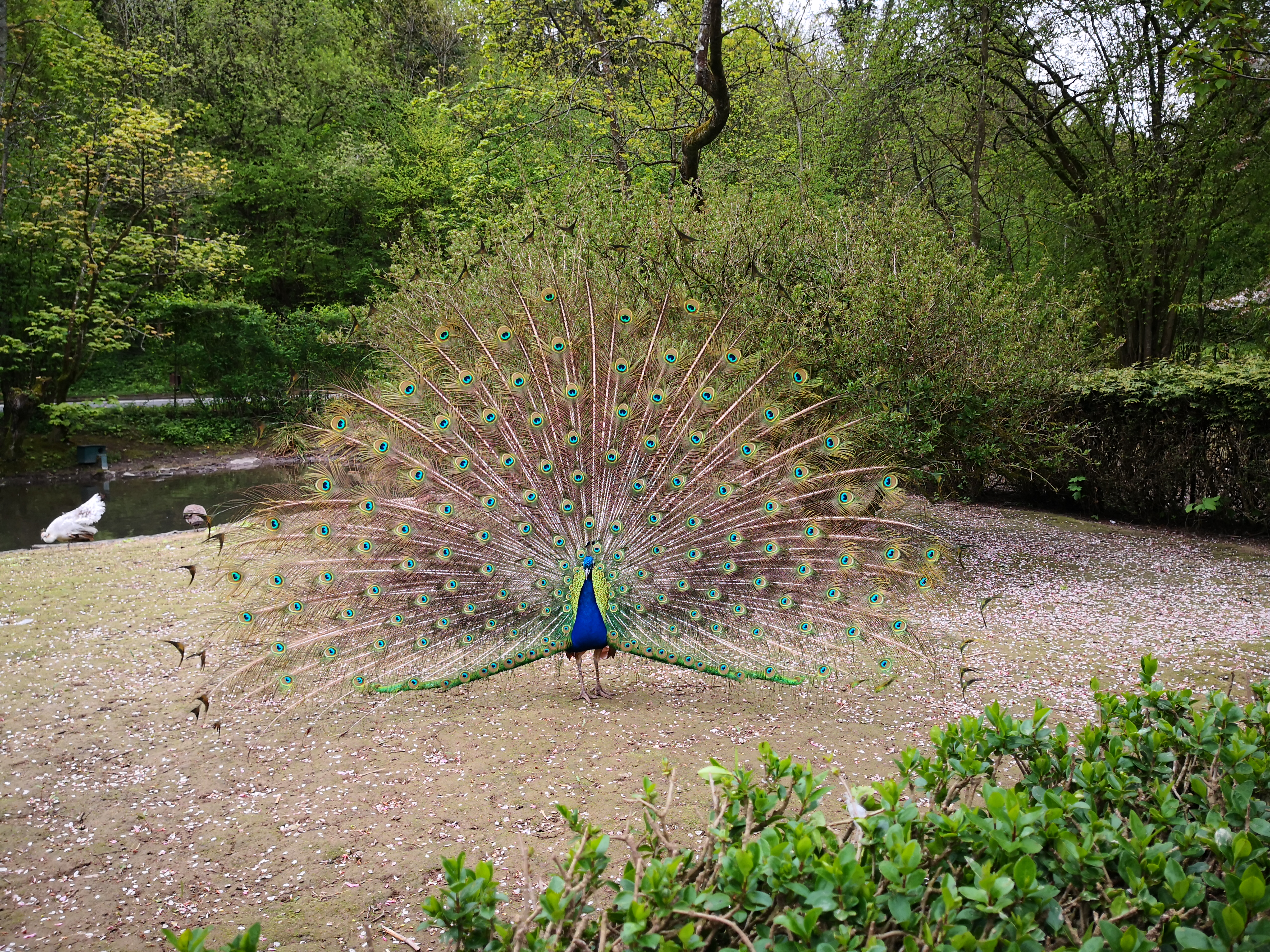 Photo n° 10 de l'avis de Mélanie. fait le 02/05/2019 à 08:22