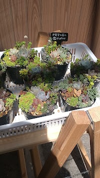 やちむん&生活雑貨 よーりよーり