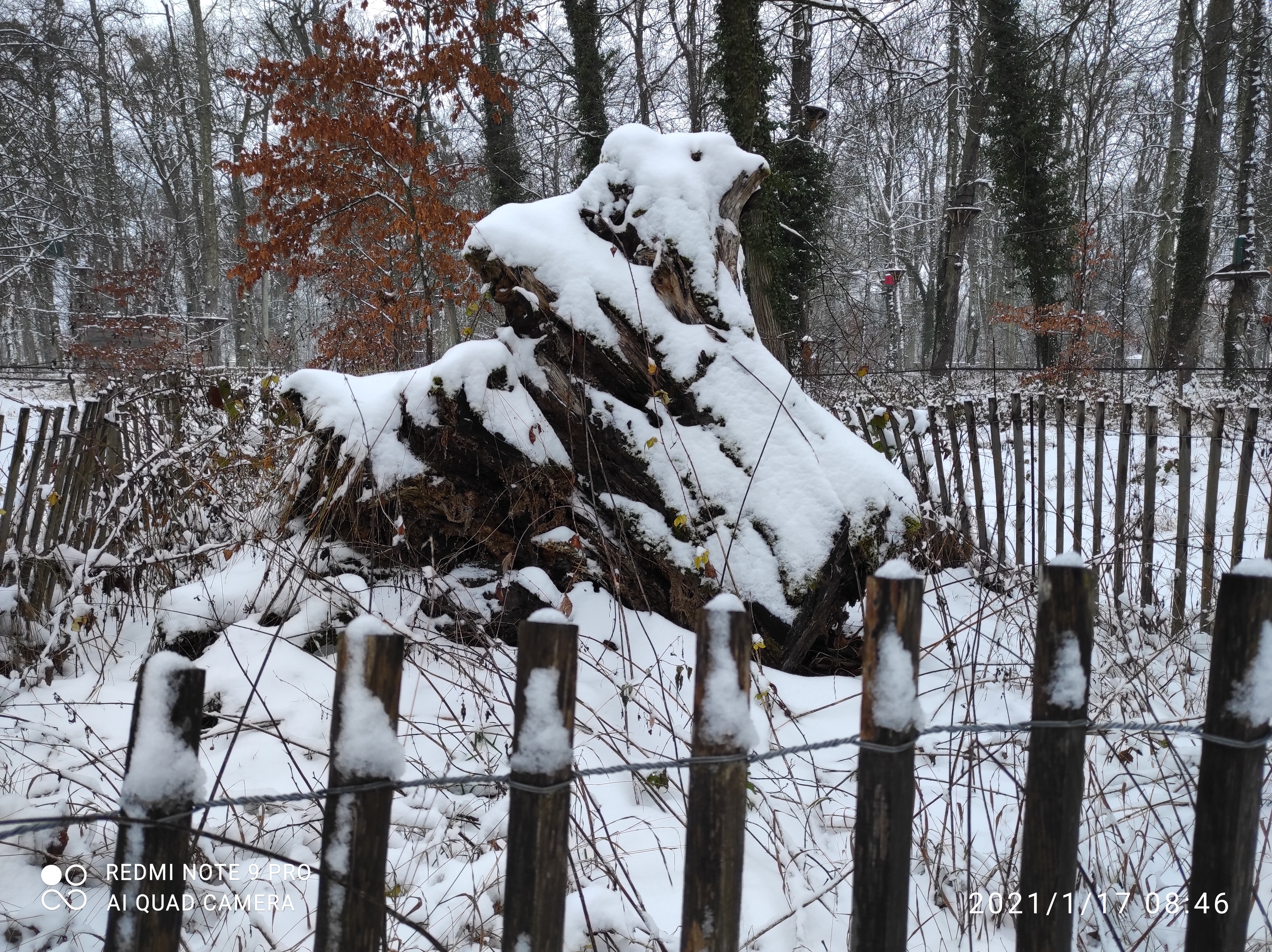 Photo n° 3 de l'avis de AsphaltSTAR. fait le 19/10/2020 à 11:24