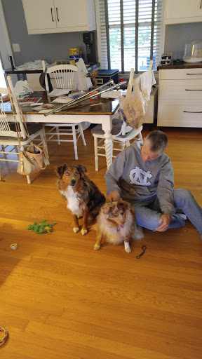 Pet Supply Store «EarthWise Pet Supply», reviews and photos, 11328 Montgomery Rd, Cincinnati, OH 45249, USA