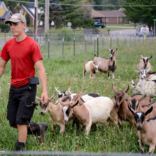Farm «Goat Milk Stuff», reviews and photos, 76 S Lake Rd N, Scottsburg, IN 47170, USA