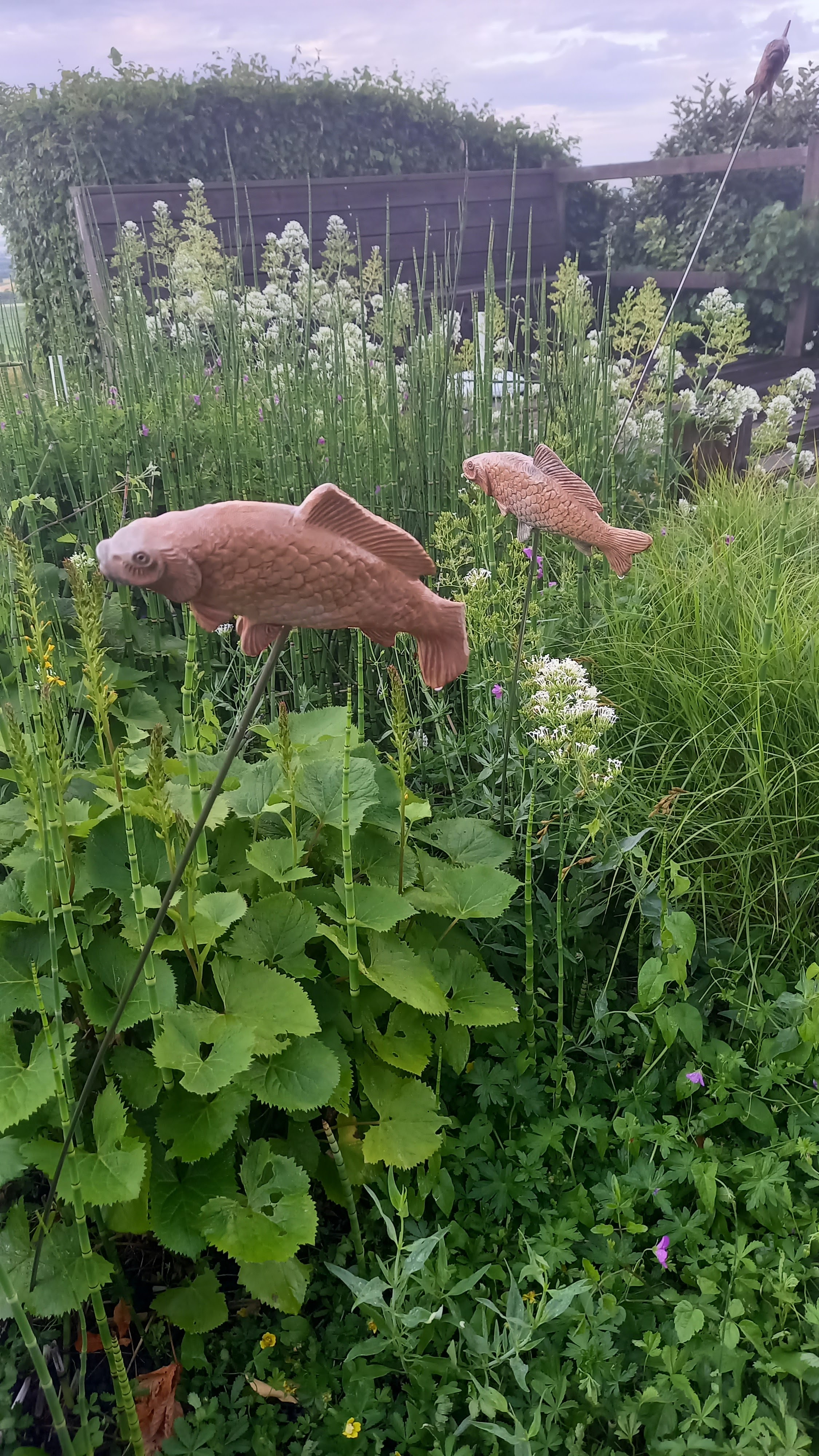 Photo n° 20 de l'avis de Nicolas.u fait le 20/06/2023 à 20:16