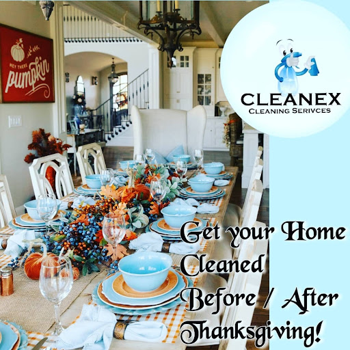 Cleanex Cleaning Services LLC