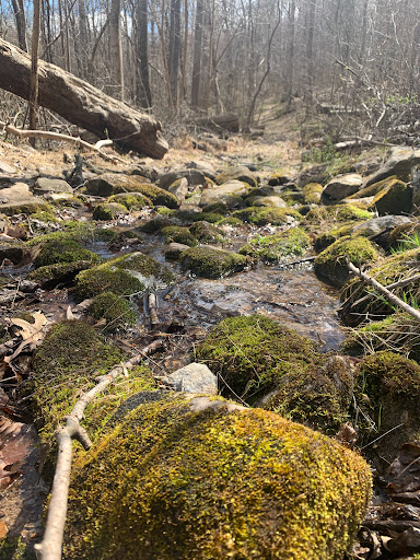 Non-Profit Organization «Blue Ridge Center For Environmental Stewardship», reviews and photos, 11661 Harpers Ferry Rd, Purcellville, VA 20132, USA