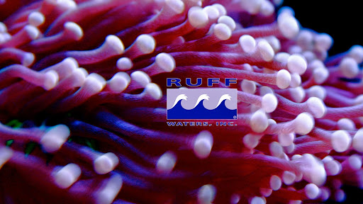 Aquarium «Ruff Waters, Inc.», reviews and photos, 4524 S 79th St, Omaha, NE 68106, USA