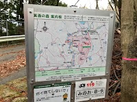こもれびの森