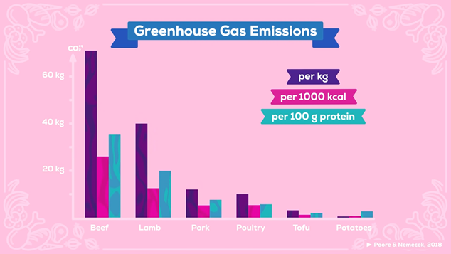 A graph of greenhouse gas emissions by food type.