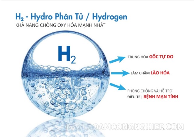 Bổ sung nước có ion kiềm giàu Hydrogen để chống oxi hóa