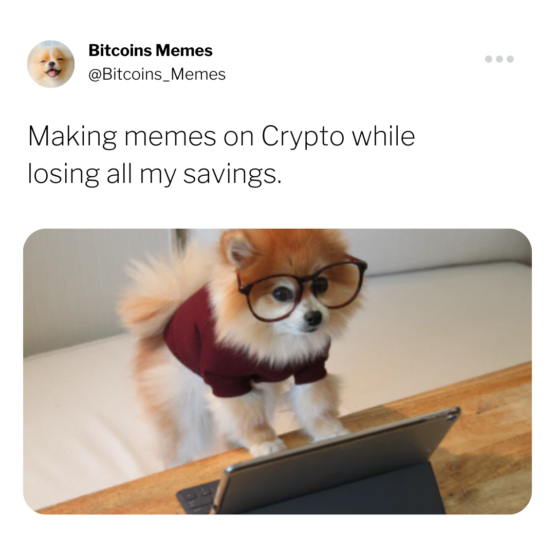 Bitcoin Meme: What's the psychology behind its upswing when things are going low? 13