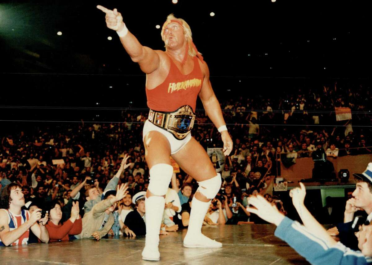 Hulk Hogan Professional Career