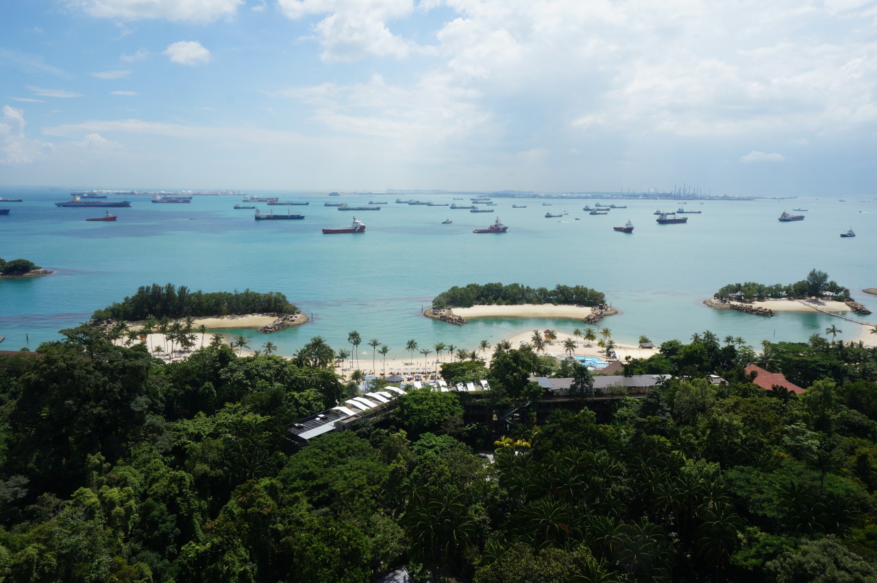 037790340-big.jpg