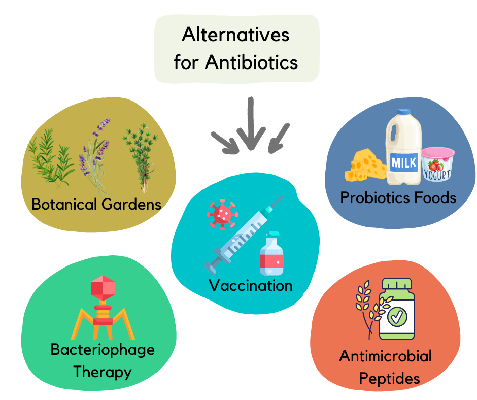 Alternatives for Antibiotics