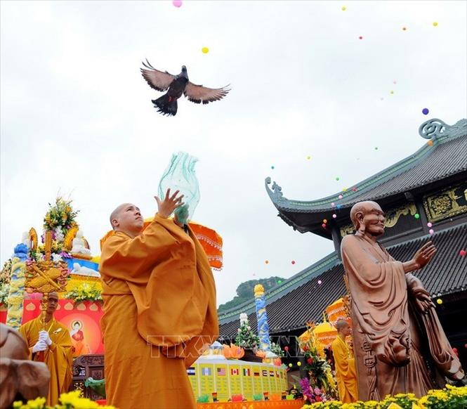 Những điều nên biết về Đại Lễ Phật Đản