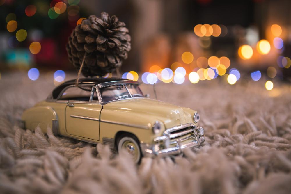 small-car-with-pine-cone.jpg