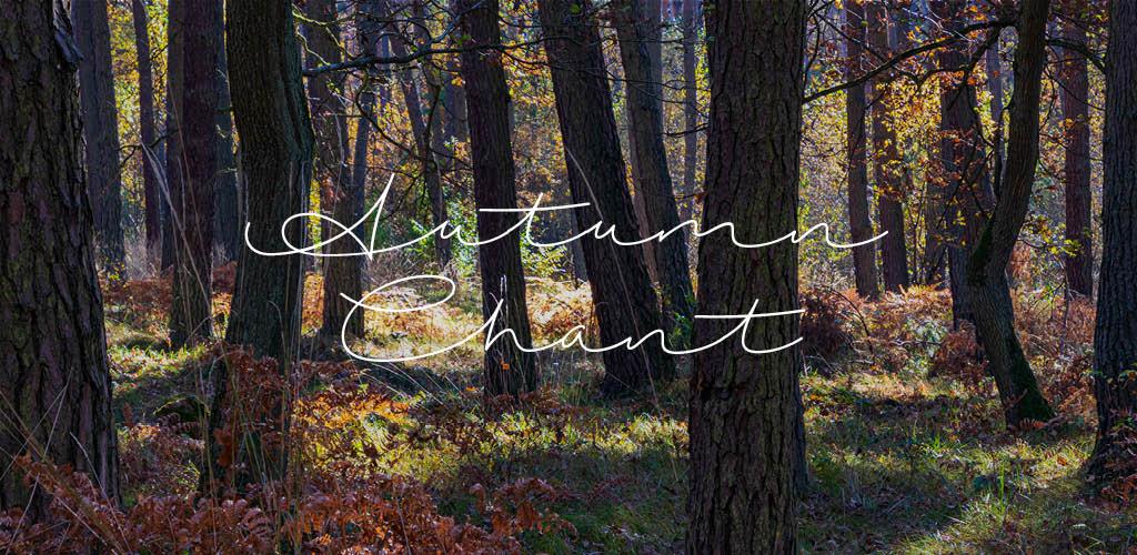 16 Fantastic FREE Handwriting Fonts for Your Next Project — Autumn Chant