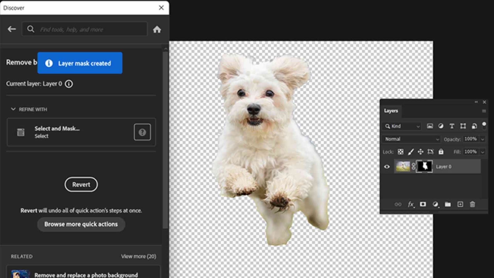 What Is Adobe Background Remover