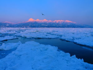 1月　観光船から見た知床連山と流氷
