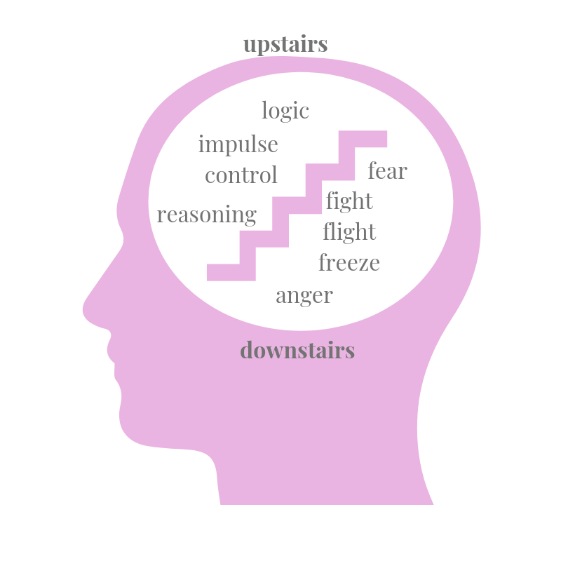 Five Bs Affected by Trauma Part I – The Brain – The Whole House