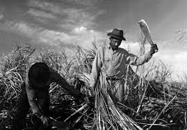 Image result for historical pictures of african men with machetes
