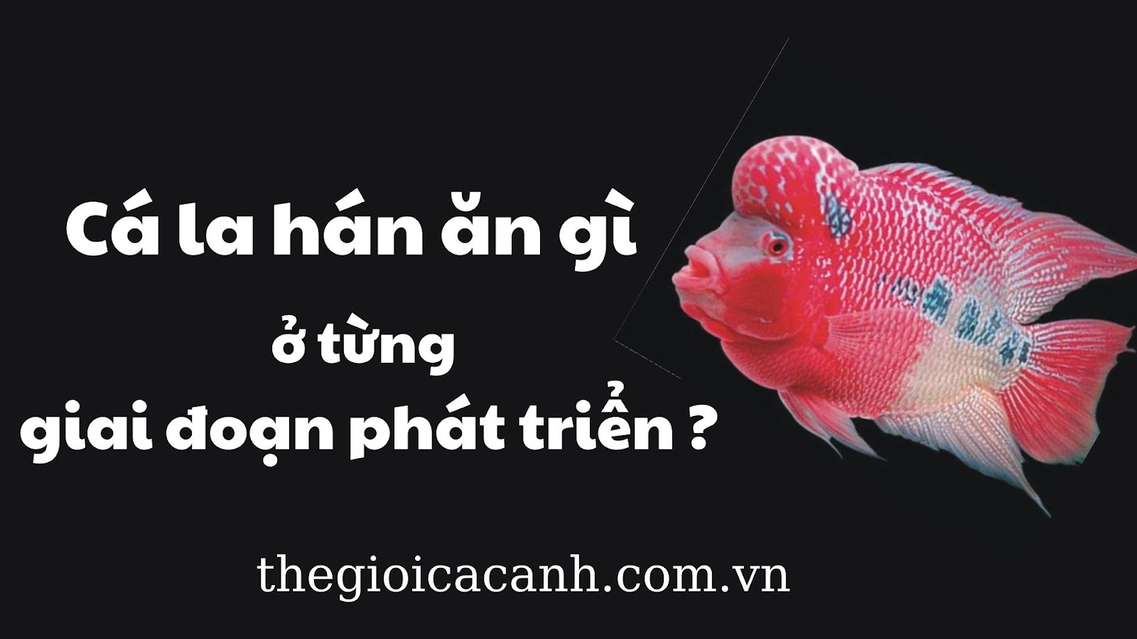 pLc4KtqXcHoJ5kMlxKusuOc4dIlgnHhw8SR3SLm6neGLHjIQi9U_jxDcx-cfxcJW45O7O2c3eH-kUMMeQgqyZicllMq5ALKVjGNm1kYoQ5Ha8-ofMYEnmVHjixSljJuHnWyQcj8v