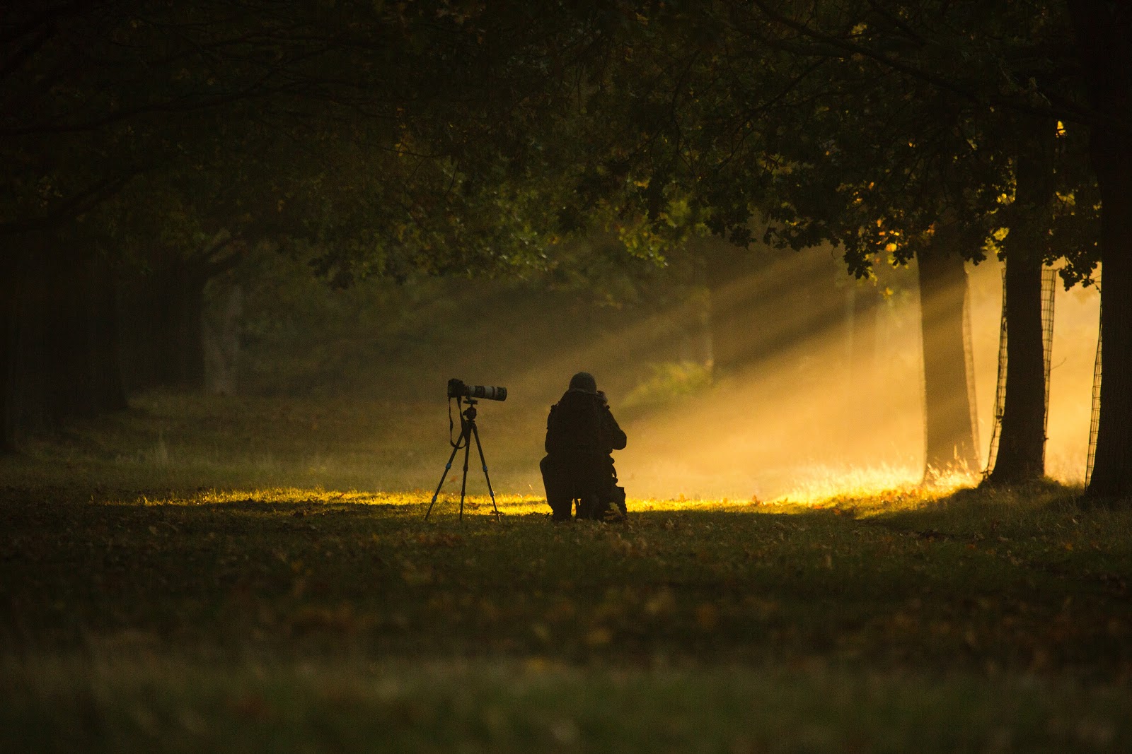 photographer crouched next to a camera on a tripod in the dark woods