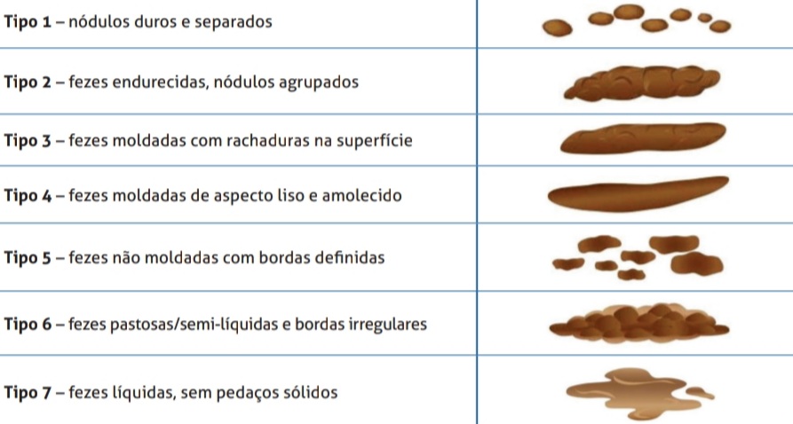 Saiba mais sobre a constipação 
 intestinal funcional