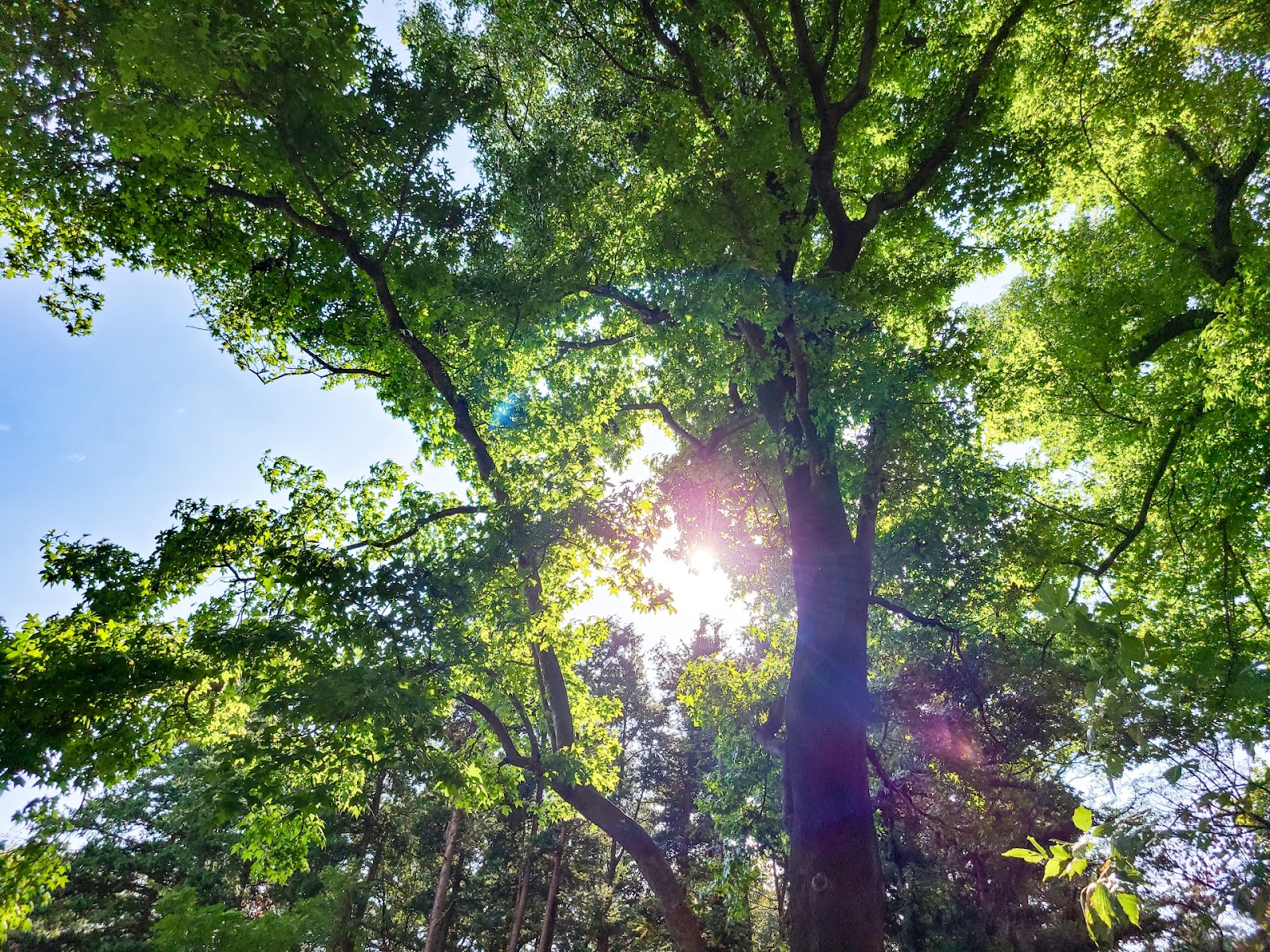 私たちが取り組んでいること