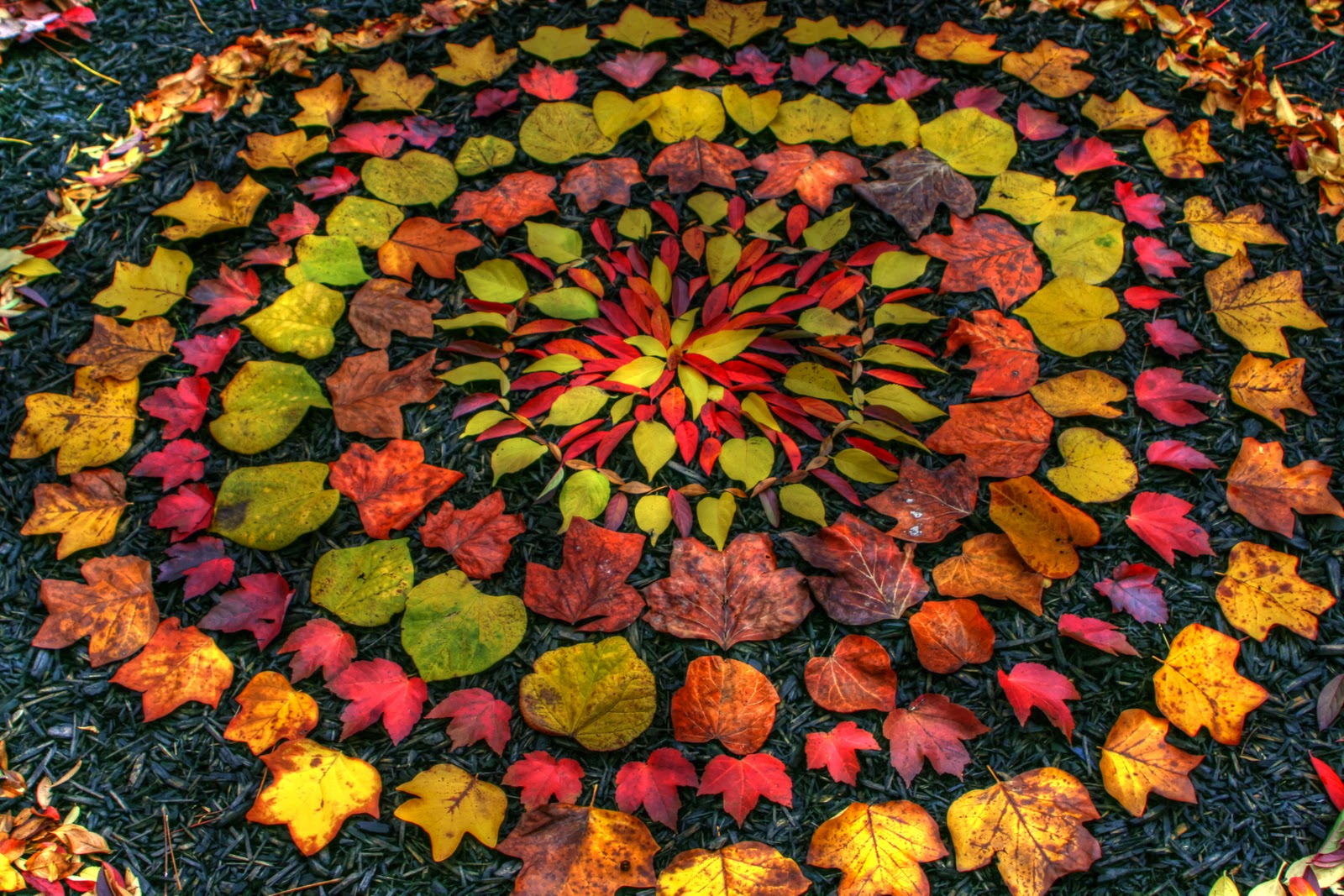 Leaf Mandala(1).jpg