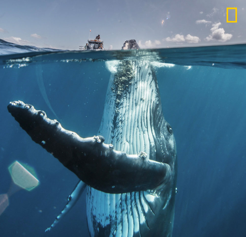 El concurso National Geographic Travel Photo 2019.