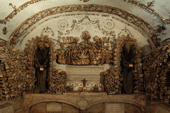 Image result for The Crypt Capuchin