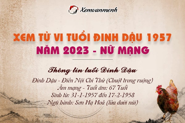 Xem tử vi tuổi Đinh Dậu nữ mạng năm 2023 