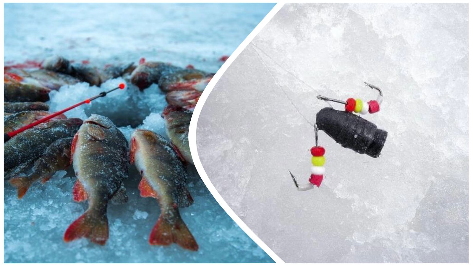 Зимняя ловля: оснастки для пассивной рыбы