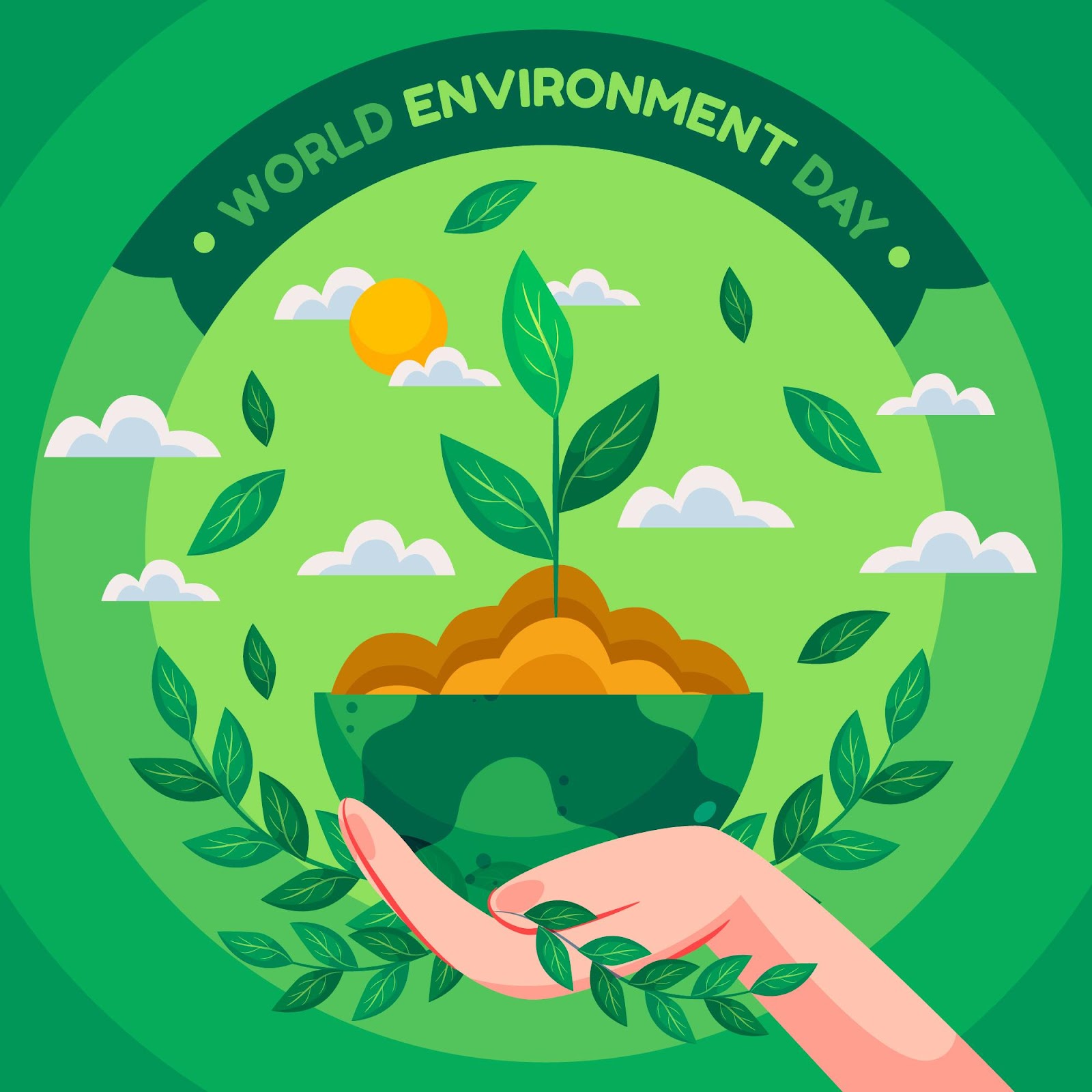 Meio Ambiente e a Escola