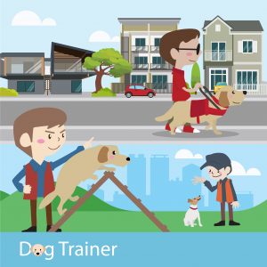 Dog trainer training a dog