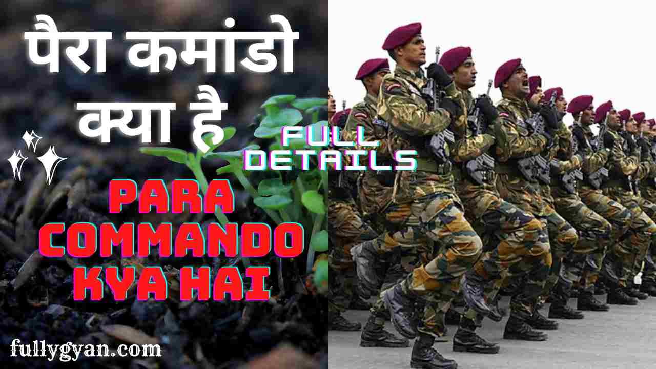 पैरा कमांडो क्या है | Para Commando Kya Hai | Indian Para Commando Ki Salary Kitni Hai | Para Commando Ka Kaam Kya Hota Hai | Para Commando Banne Ke Liye Kya Karna Padta Hai