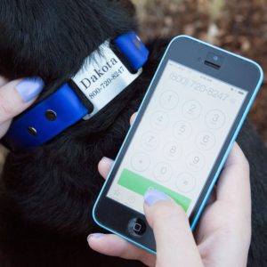 Waterproof ScruffTag Collar