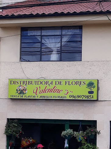 Valebtines - Quito