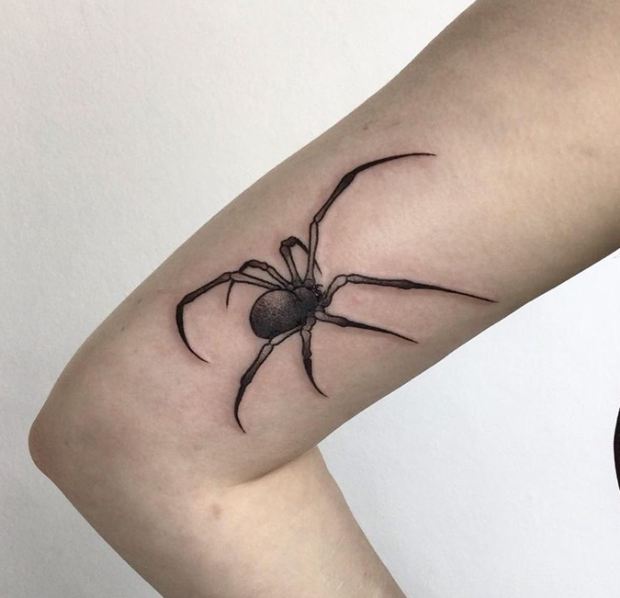 Stalling Spider Tattoo