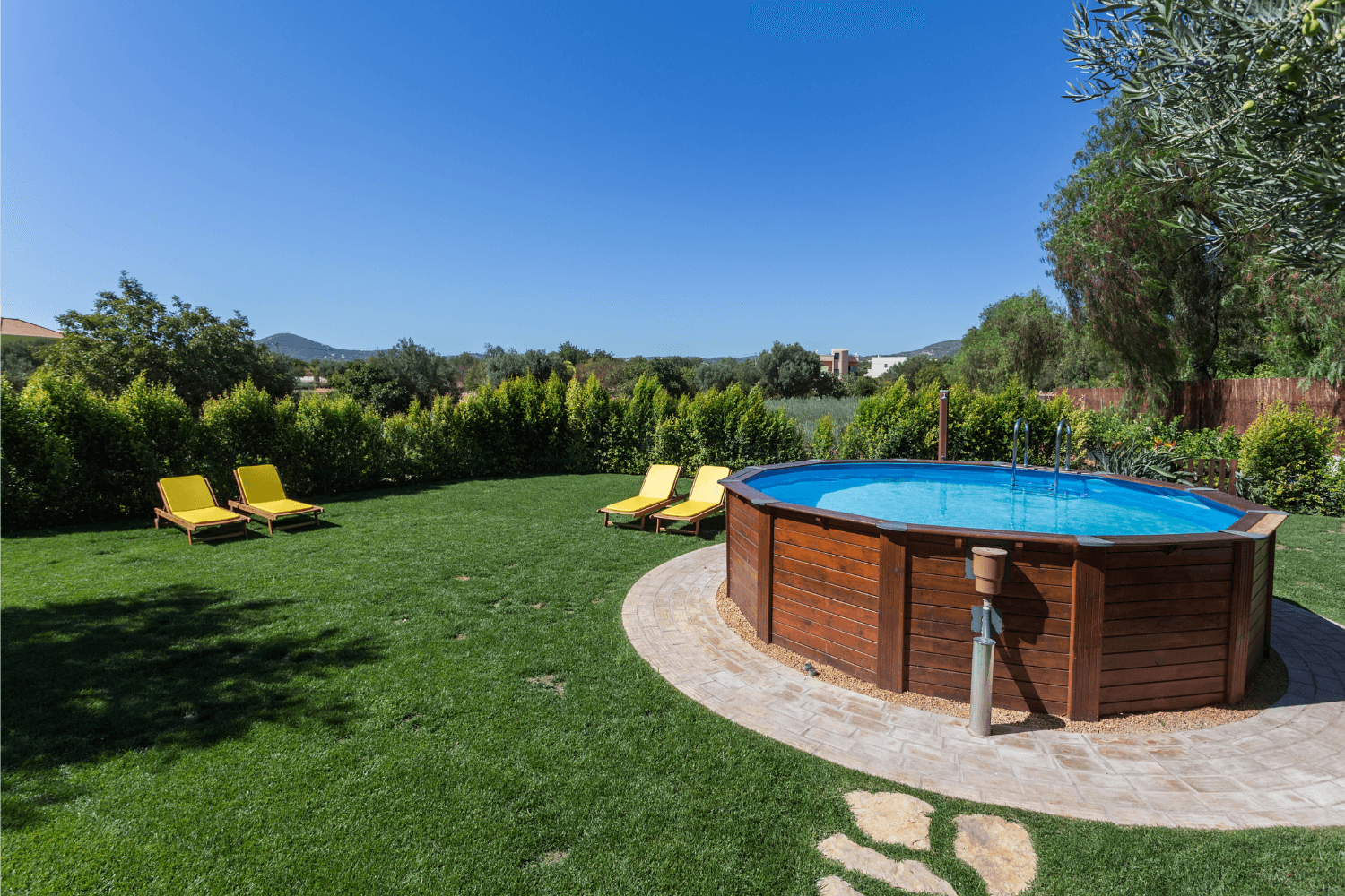 Above ground pool in a lush backyard