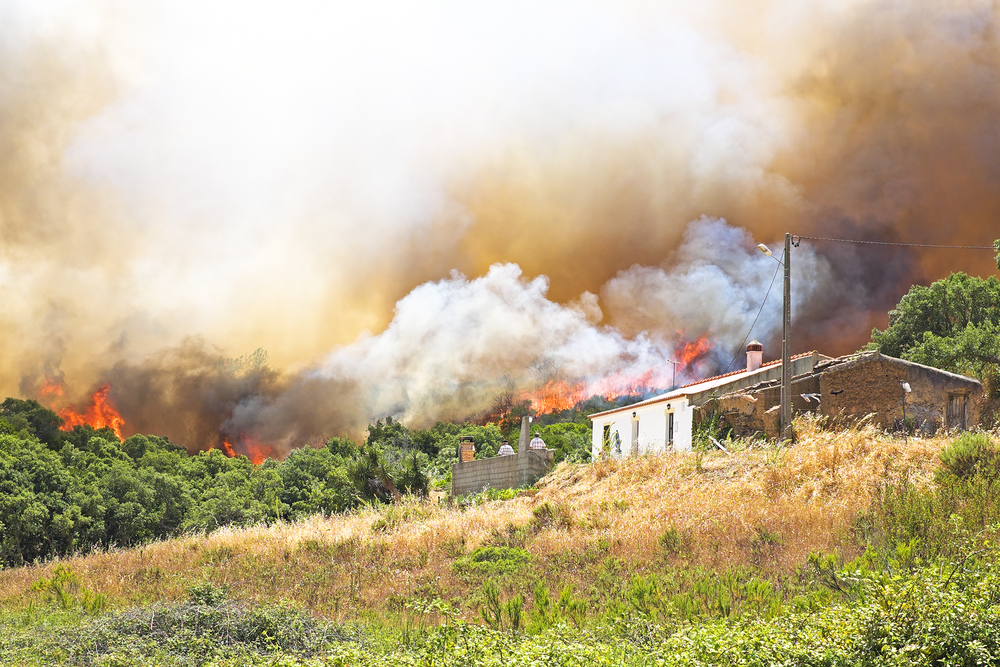 california wildfire