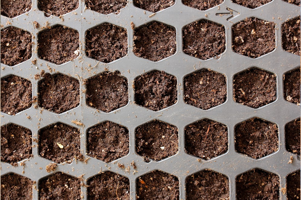 seed trays for starting seedlings indoors