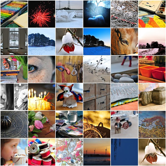 january 2010: blog camp 365 project