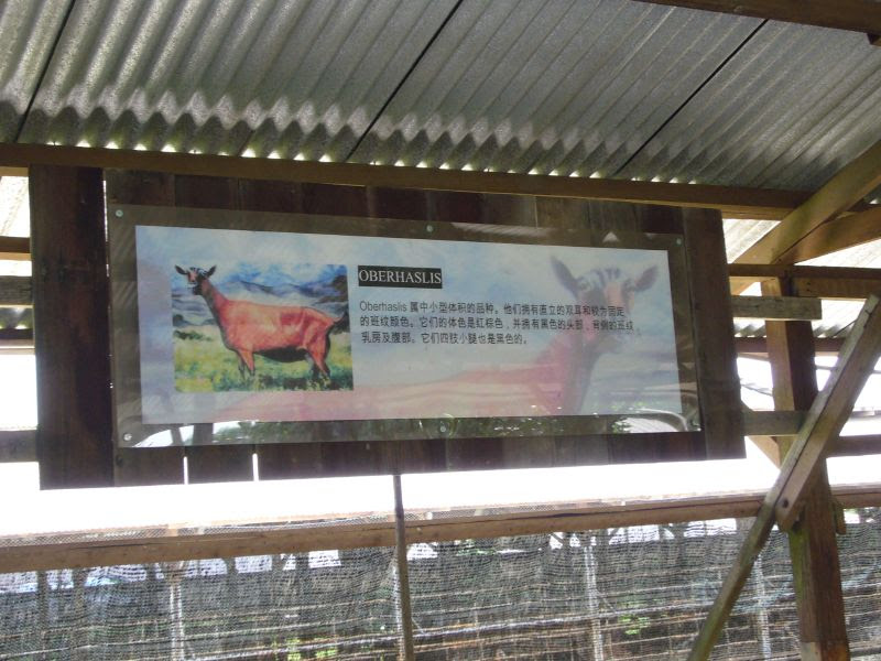 P1000117