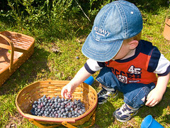 JPR_20080620_0421