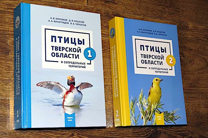 В Твери вышла уникальная книга про всех птиц, обитающих в регионе